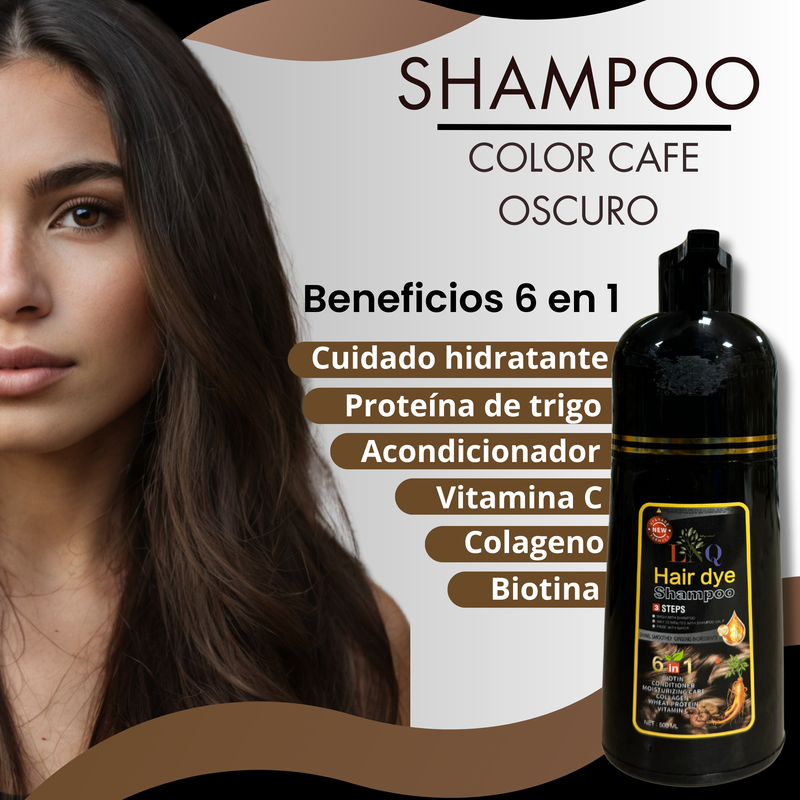 shampoo con tinte 6 en 1