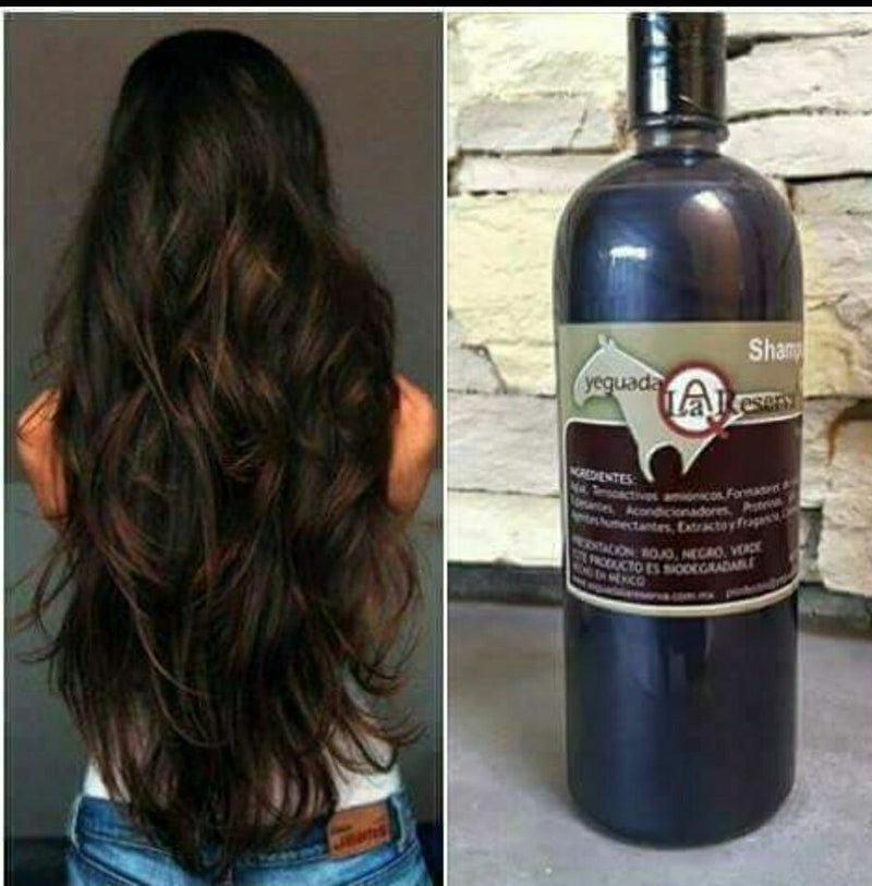 Yeguada la Reserva shampoo natural Hair Loss prevention